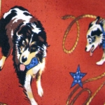 MoDog